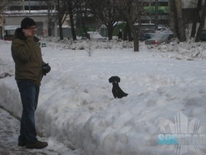Это сами собачники, которые разумеется, пока на детской площадке дети, гуляют в стороне.