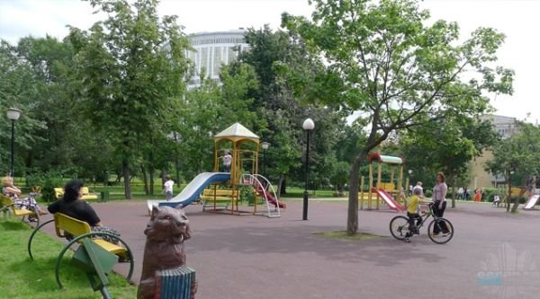 какие деревья сажать во дворе